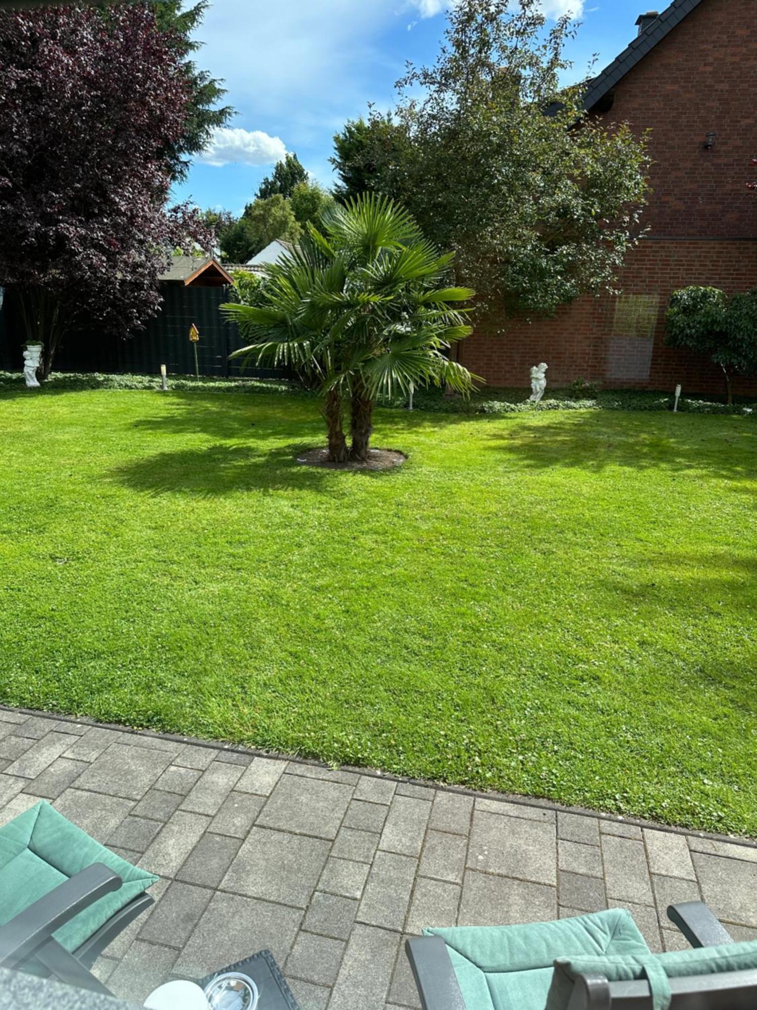 Auszeit Apartment Duesseldorf Екстер'єр фото